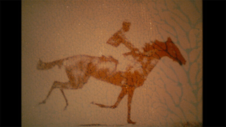 HIPPODRONE